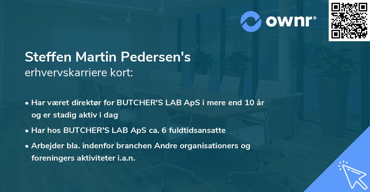 Steffen Martin Pedersen's erhvervskarriere kort