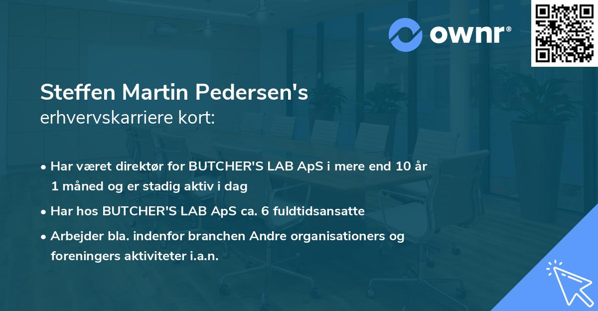 Steffen Martin Pedersen's erhvervskarriere kort