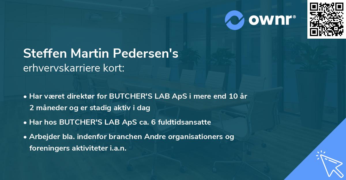 Steffen Martin Pedersen's erhvervskarriere kort