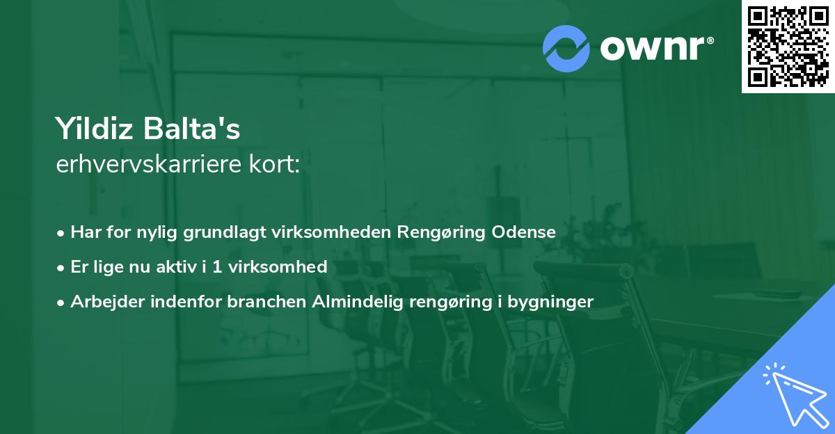 Yildiz Balta's erhvervskarriere kort