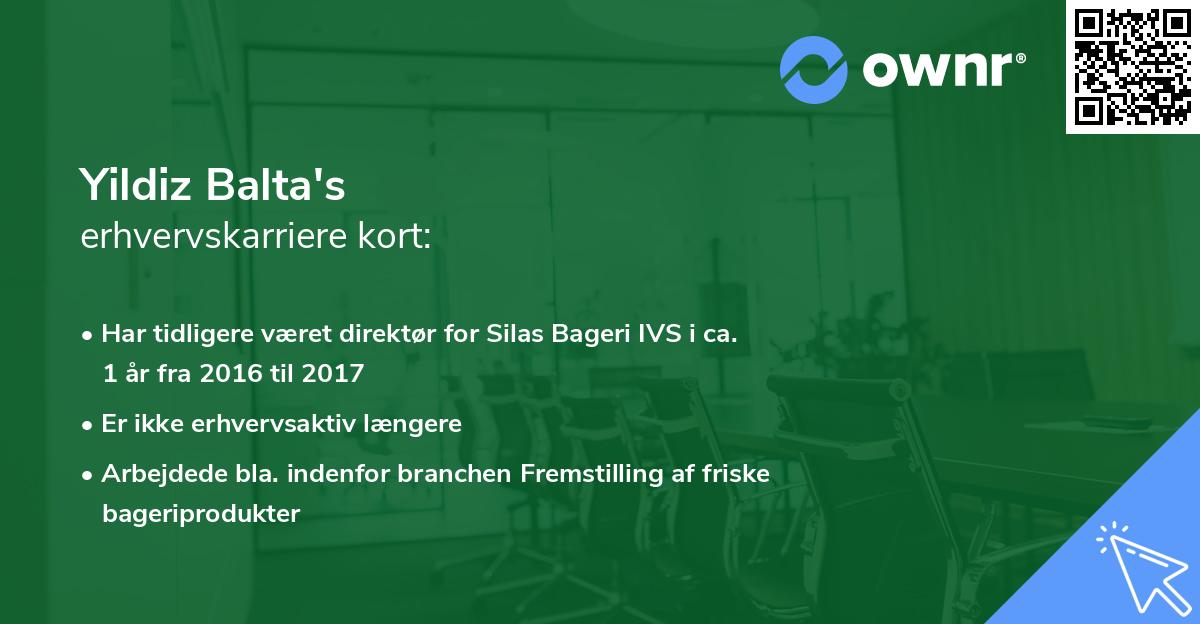 Yildiz Balta's erhvervskarriere kort