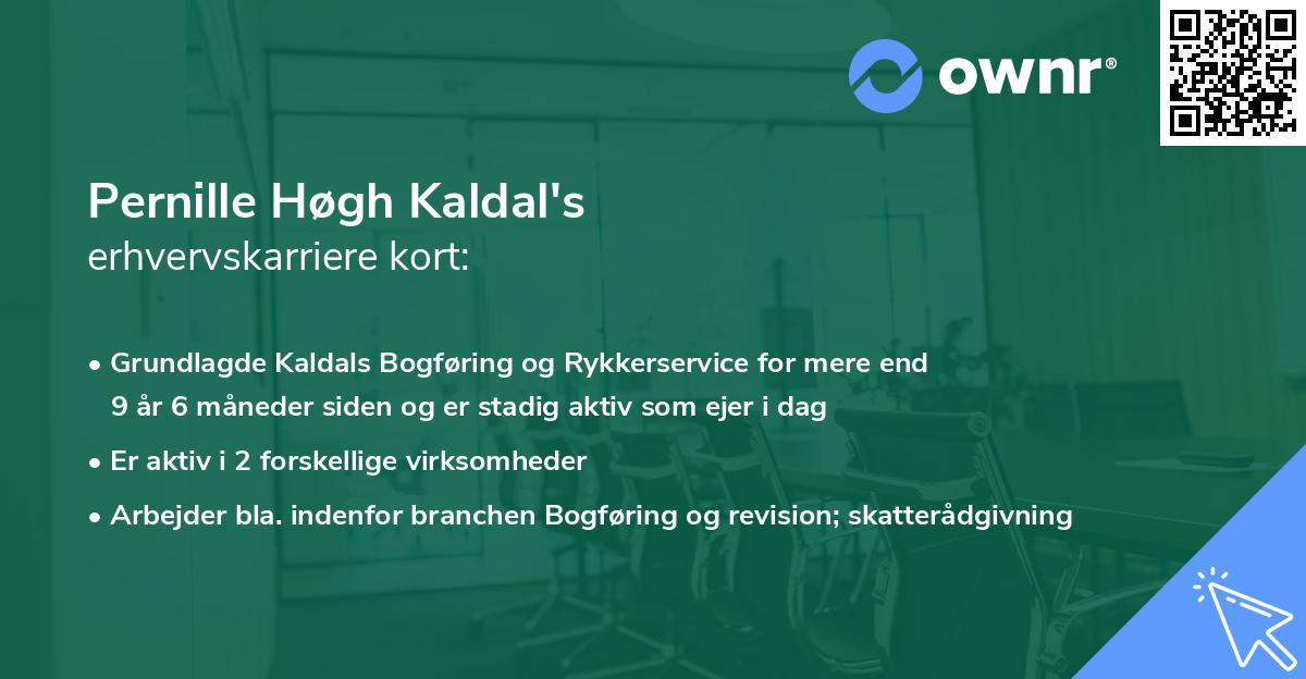 Pernille Høgh Kaldal's erhvervskarriere kort