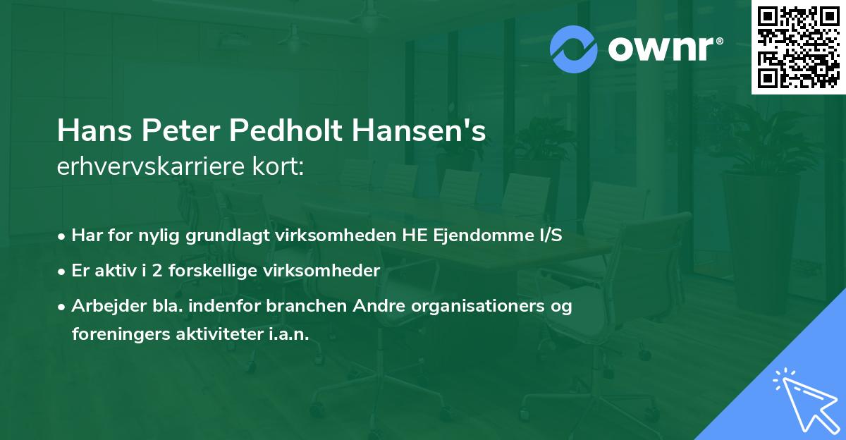 Hans Peter Pedholt Hansen's erhvervskarriere kort
