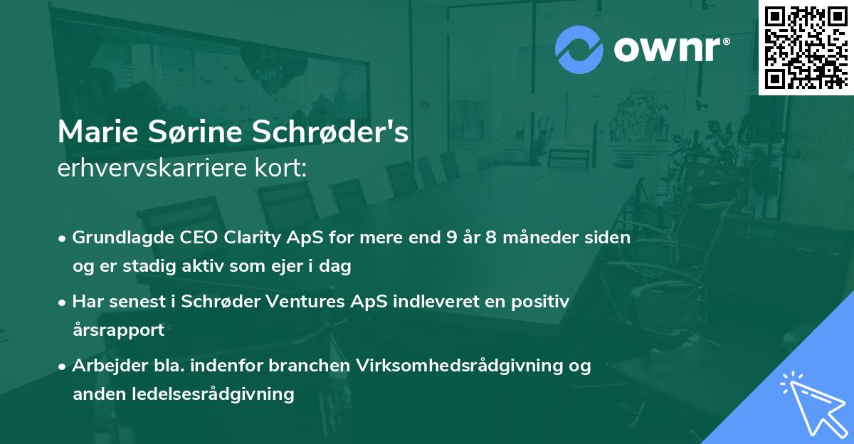 Marie Sørine Schrøder's erhvervskarriere kort
