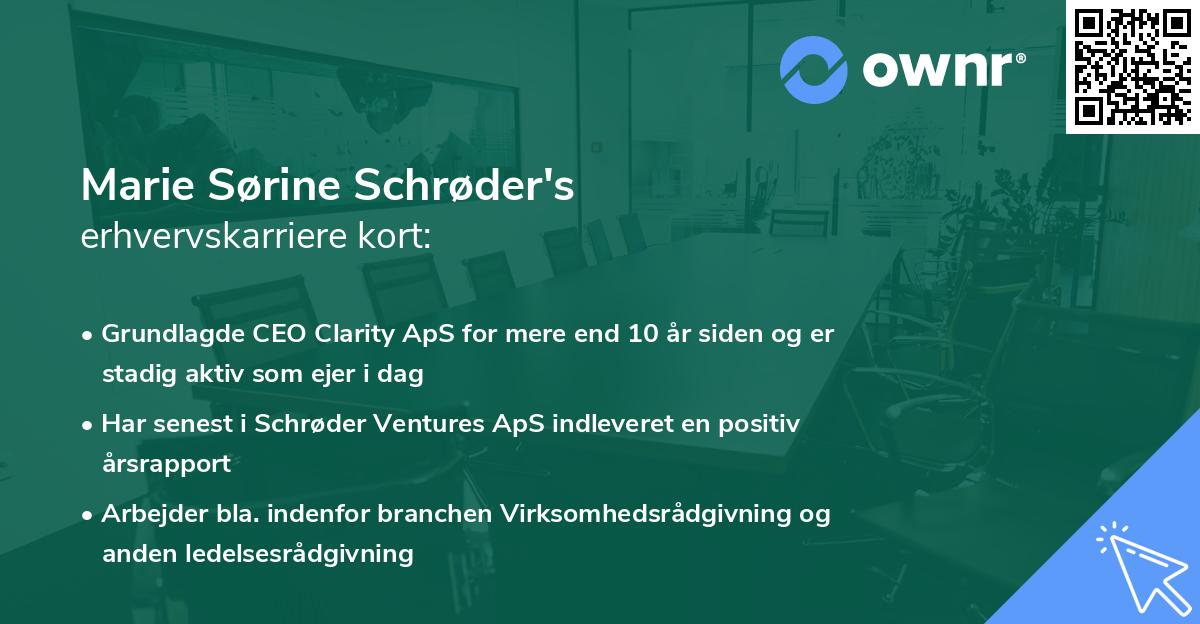 Marie Sørine Schrøder's erhvervskarriere kort