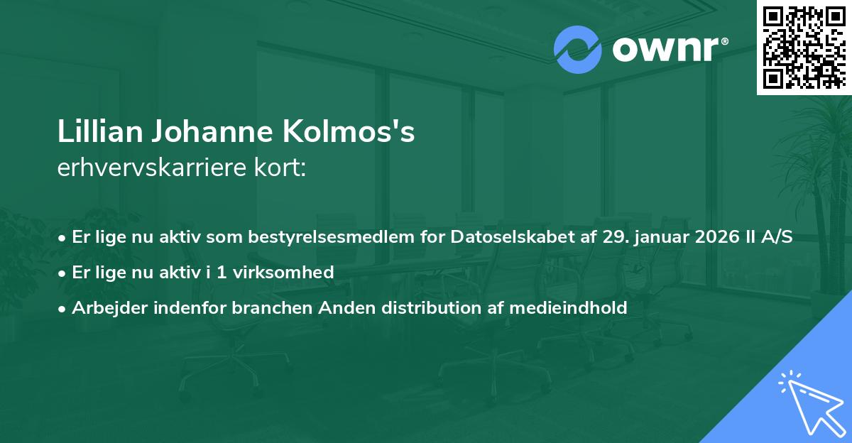 Lillian Johanne Kolmos's erhvervskarriere kort
