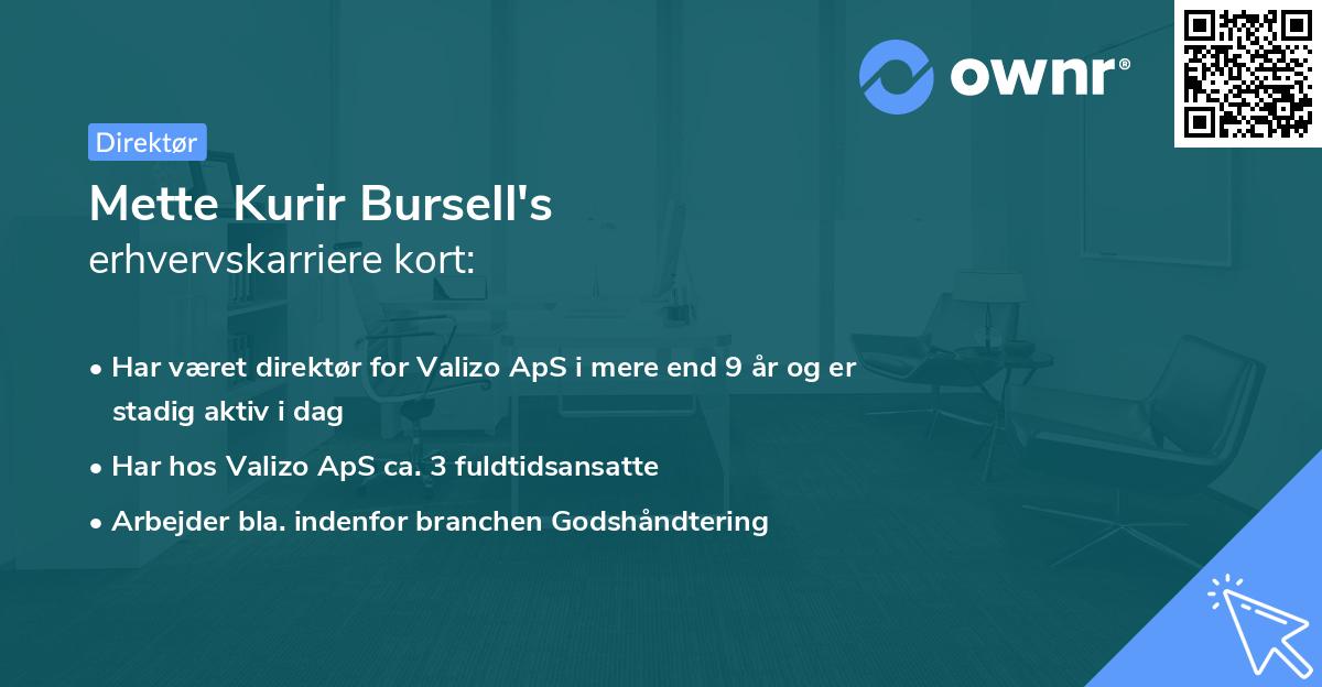 Mette Kurir Bursell's erhvervskarriere kort
