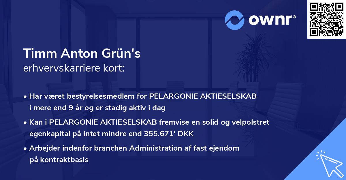 Timm Anton Grün's erhvervskarriere kort