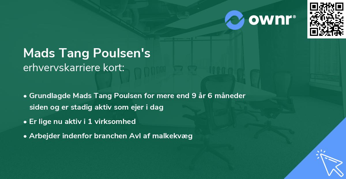 Mads Tang Poulsen's erhvervskarriere kort