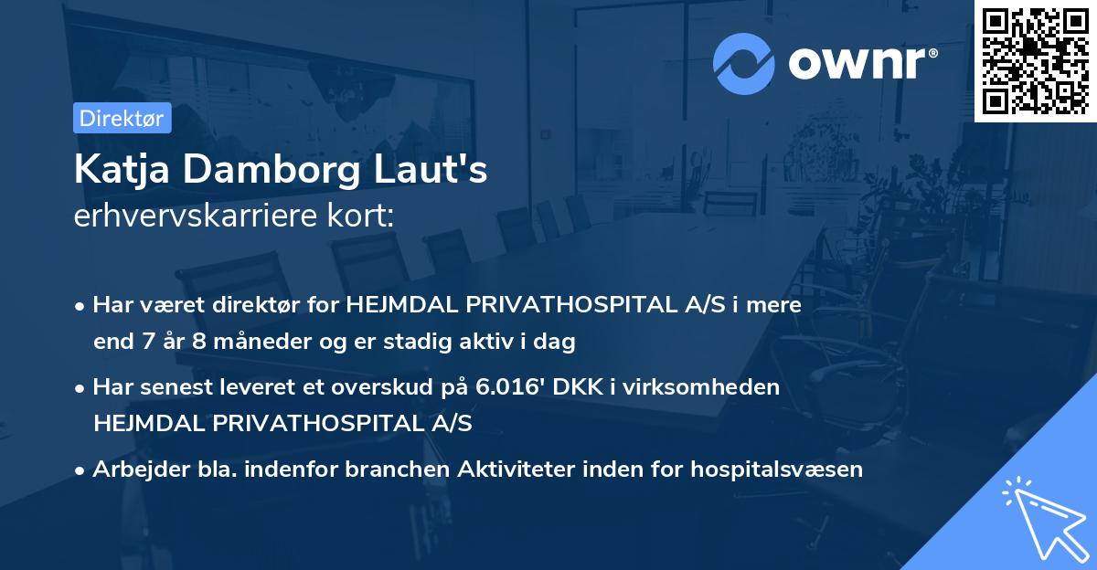 Katja Damborg Laut's erhvervskarriere kort