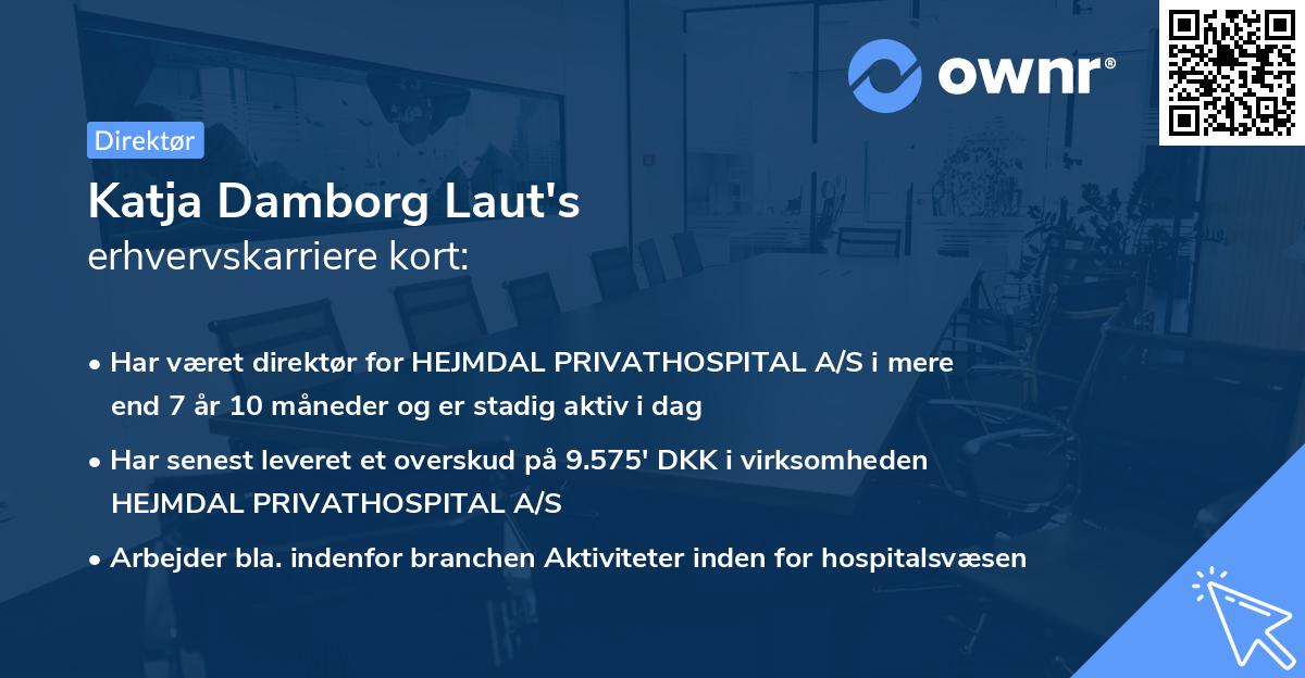 Katja Damborg Laut's erhvervskarriere kort