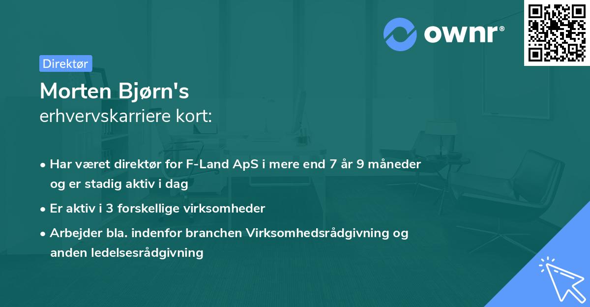 Morten Bjørn's erhvervskarriere kort