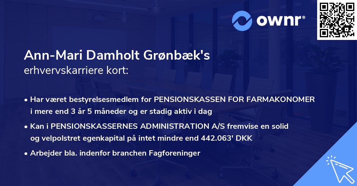 Ann-Mari Damholt Grønbæk's erhvervskarriere kort