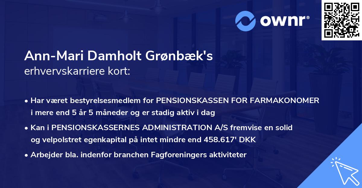 Ann-Mari Damholt Grønbæk's erhvervskarriere kort
