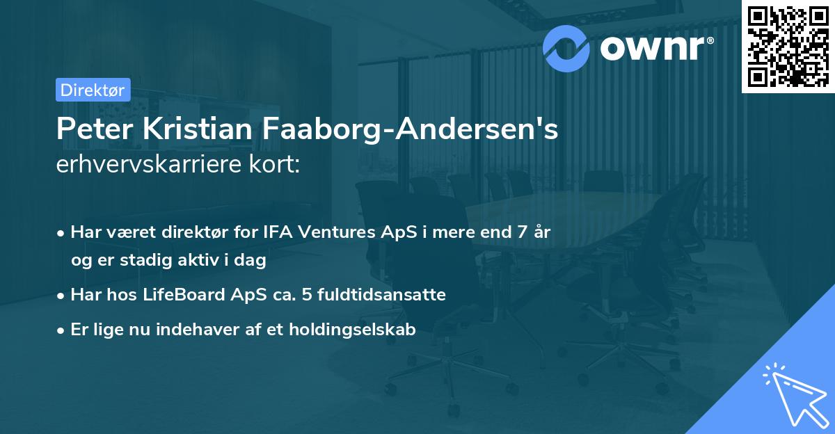 Peter Kristian Faaborg-Andersen's erhvervskarriere kort