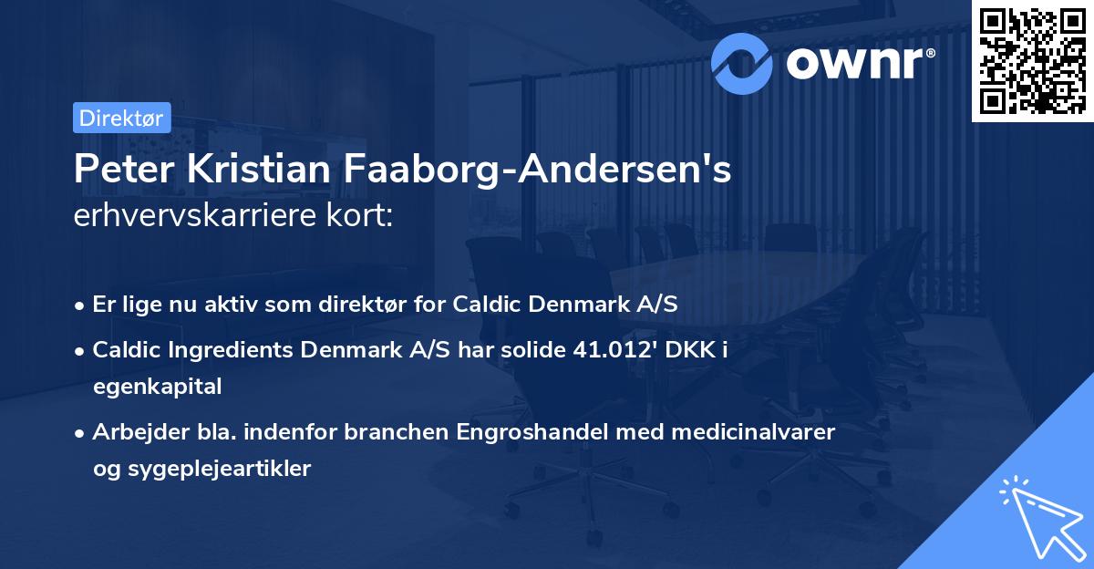 Peter Kristian Faaborg-Andersen's erhvervskarriere kort