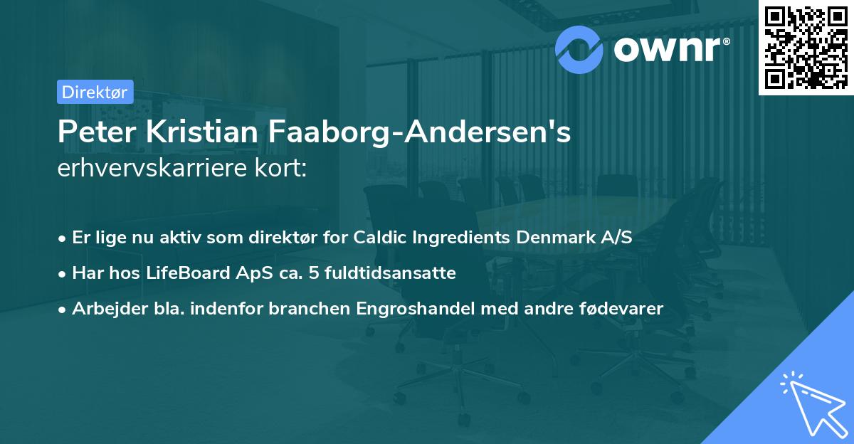 Peter Kristian Faaborg-Andersen's erhvervskarriere kort