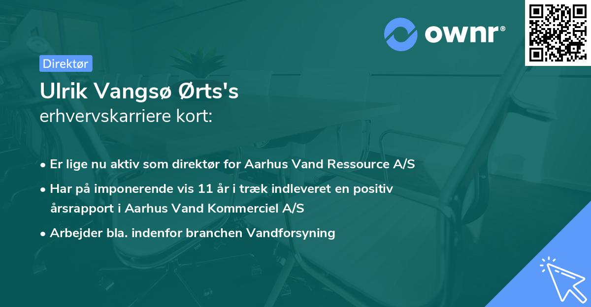Ulrik Vangsø Ørts's erhvervskarriere kort