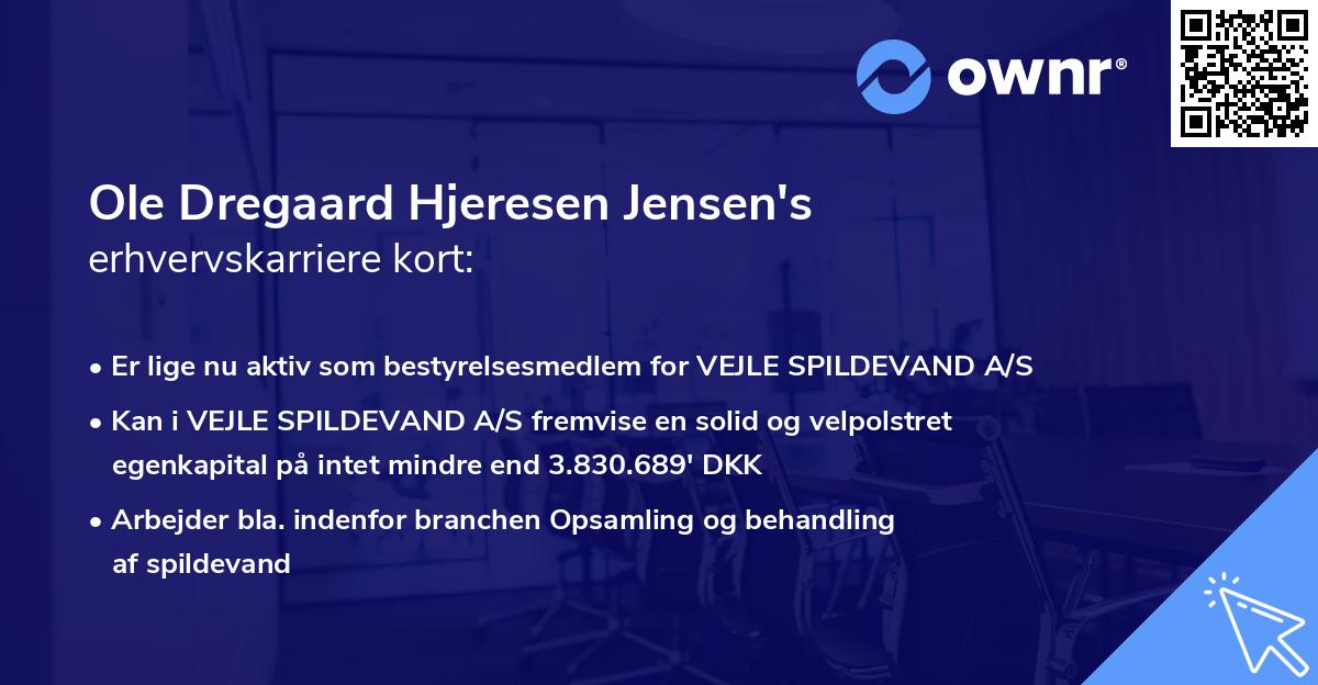 Ole Dregaard Hjeresen Jensen's erhvervskarriere kort