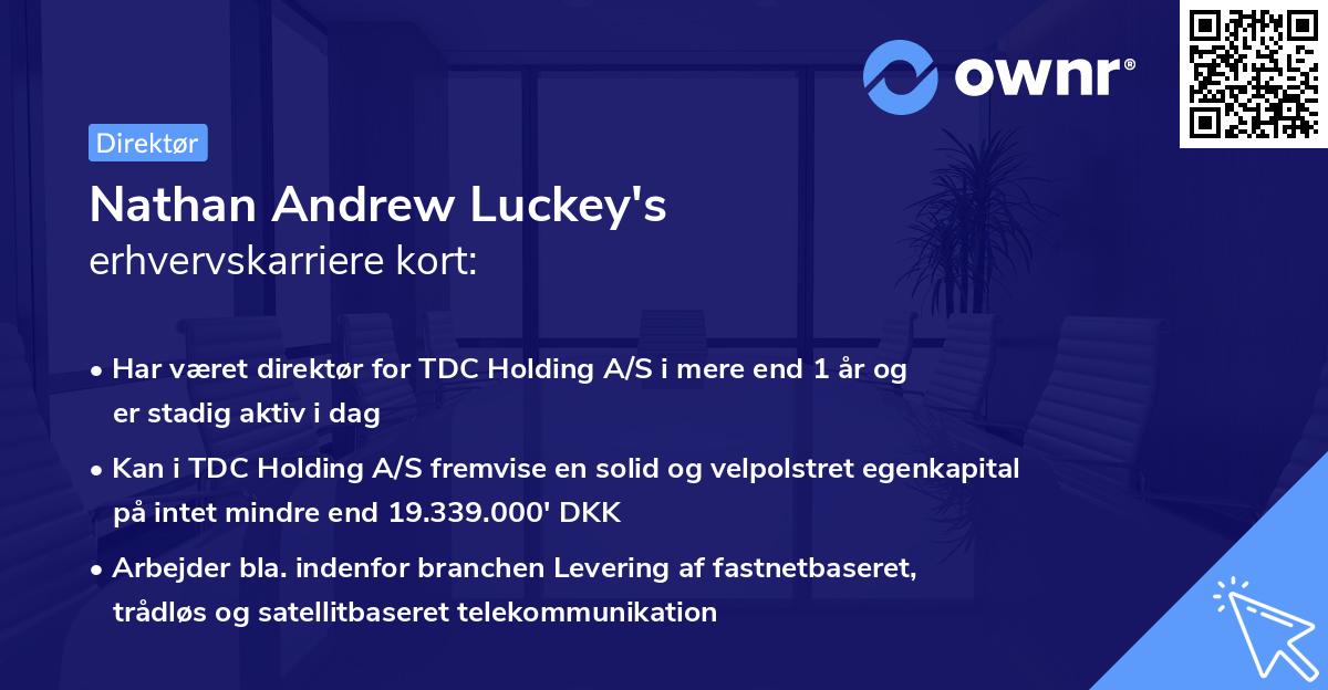 Nathan Andrew Luckey's erhvervskarriere kort