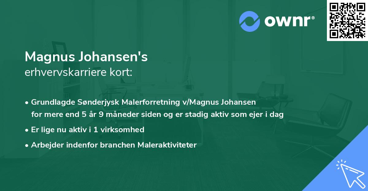 Magnus Johansen's erhvervskarriere kort