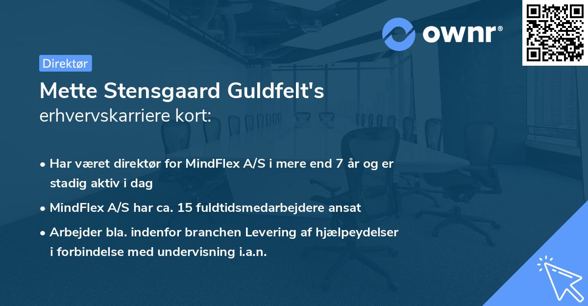 Mette Stensgaard Guldfelt's erhvervskarriere kort
