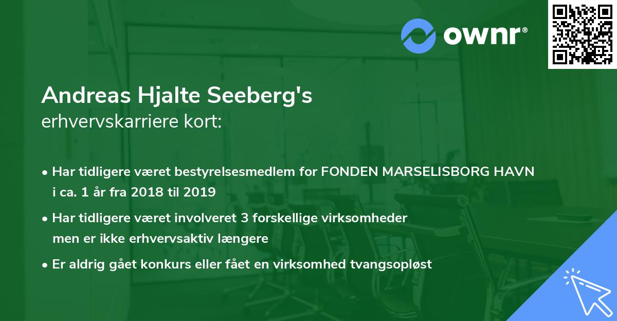 Andreas Hjalte Seeberg's erhvervskarriere kort