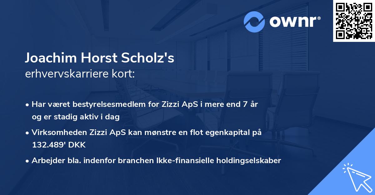 Joachim Horst Scholz's erhvervskarriere kort
