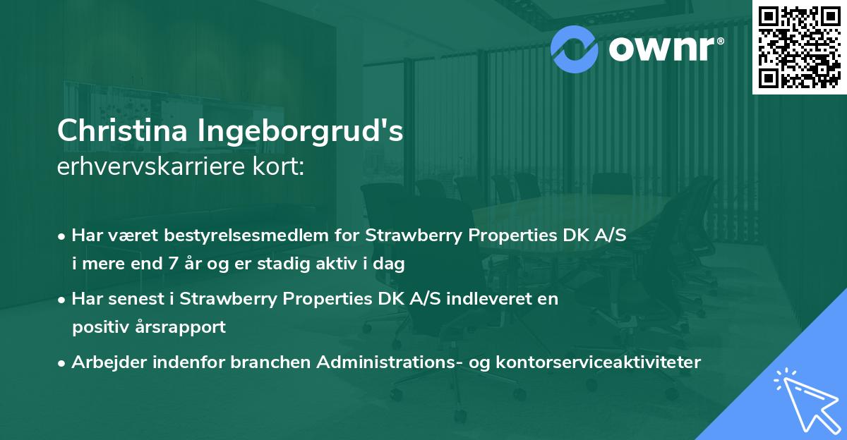 Christina Ingeborgrud's erhvervskarriere kort