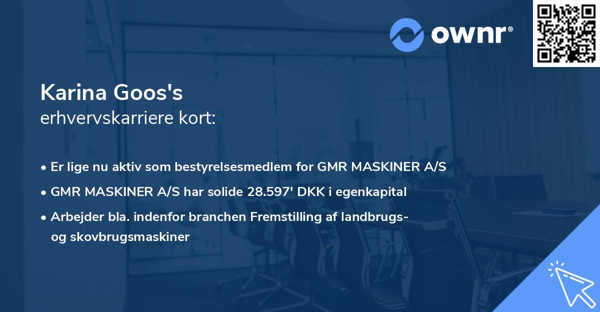 Karina Goos's erhvervskarriere kort