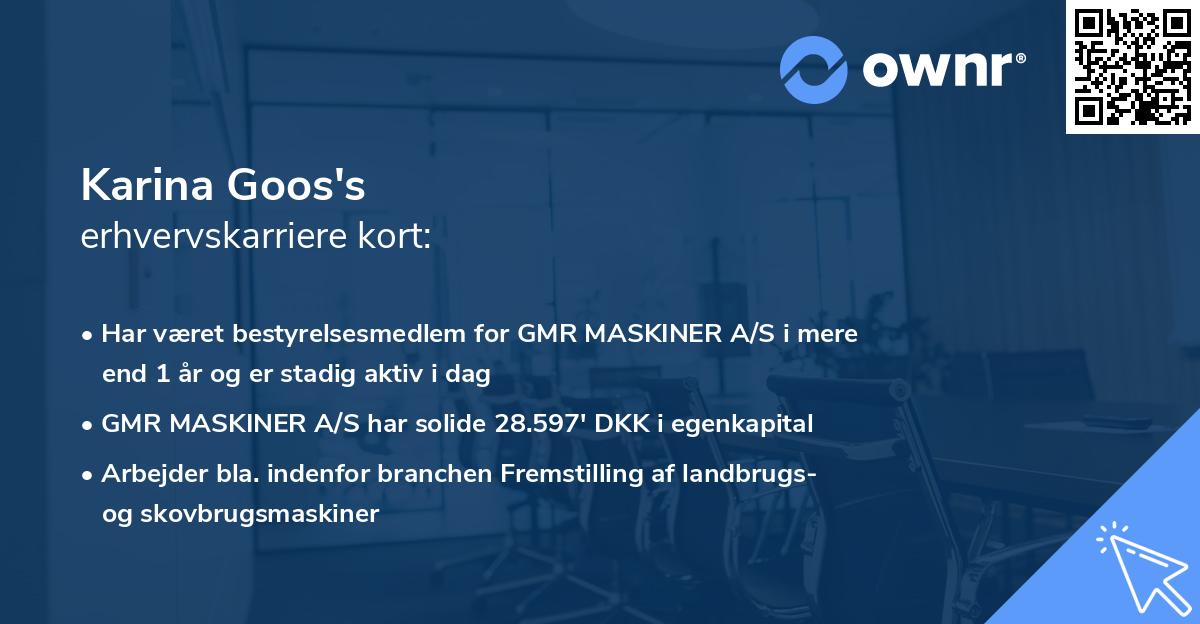 Karina Goos's erhvervskarriere kort