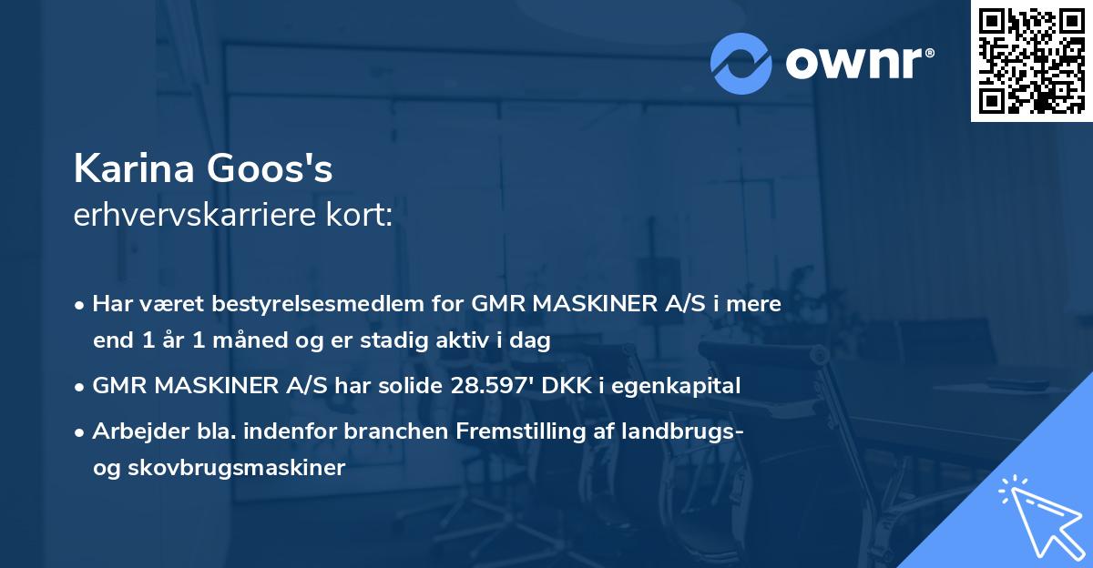 Karina Goos's erhvervskarriere kort