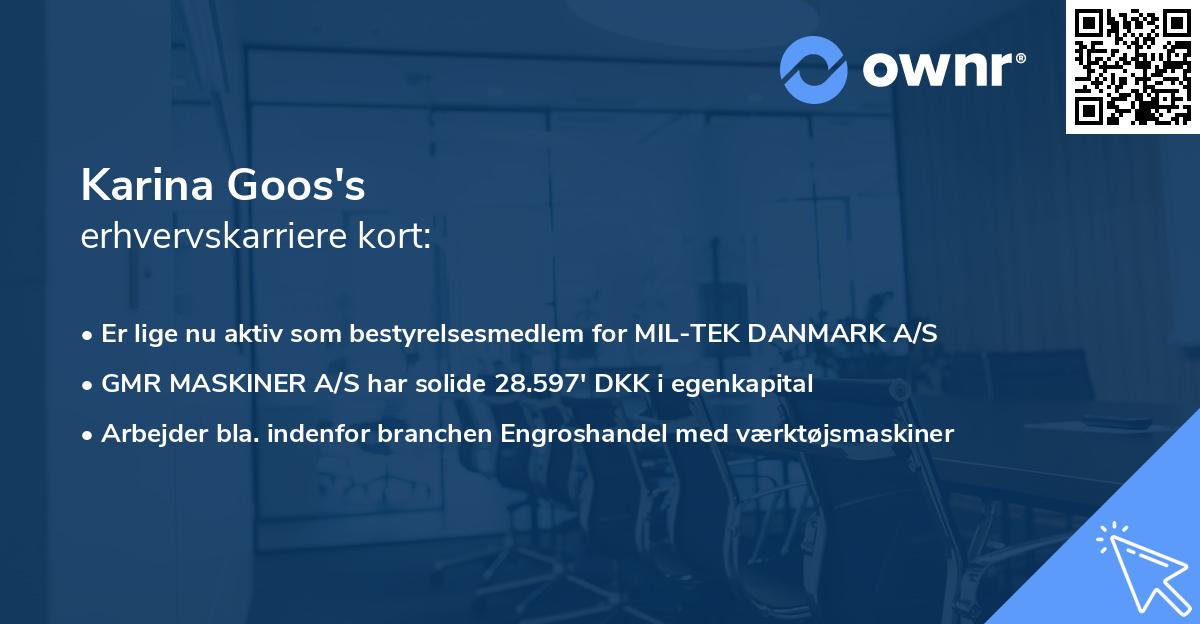 Karina Goos's erhvervskarriere kort