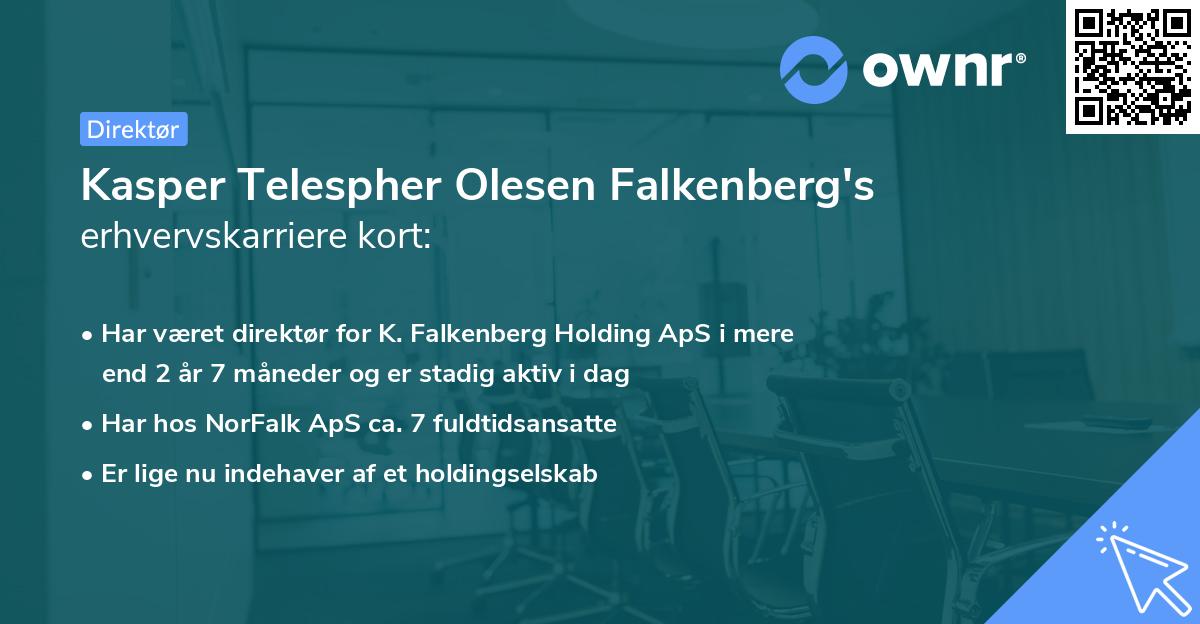 Kasper Telespher Olesen Falkenberg's erhvervskarriere kort