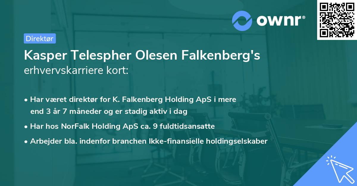 Kasper Telespher Olesen Falkenberg's erhvervskarriere kort