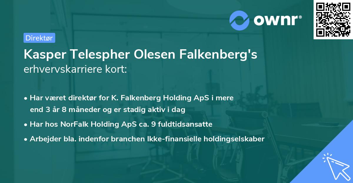 Kasper Telespher Olesen Falkenberg's erhvervskarriere kort