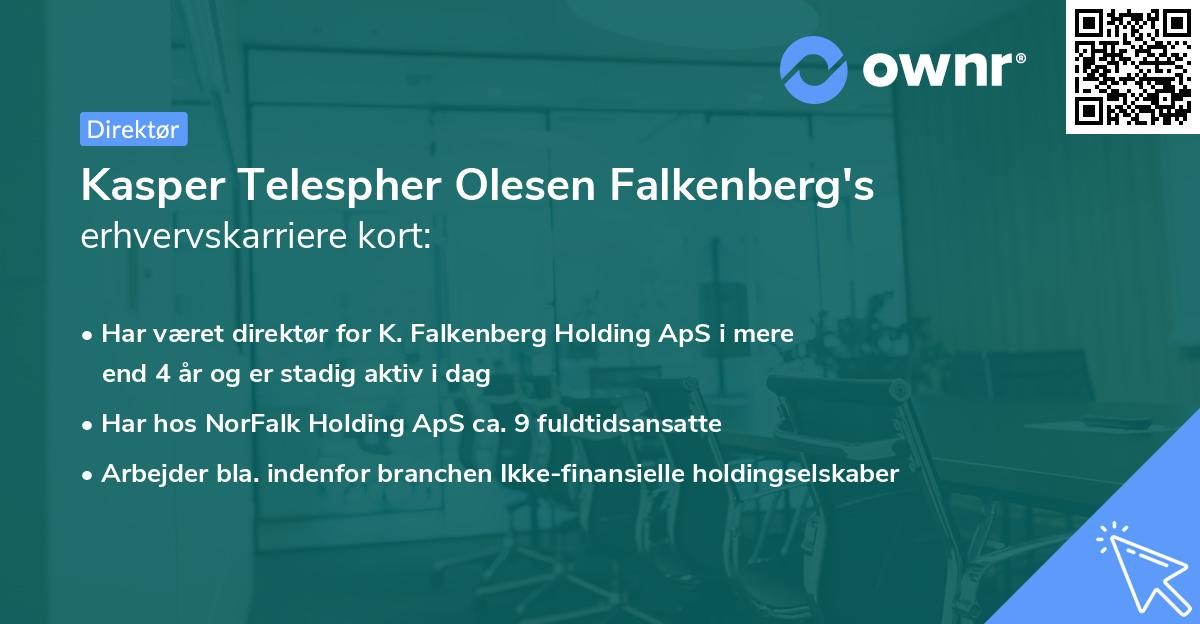 Kasper Telespher Olesen Falkenberg's erhvervskarriere kort