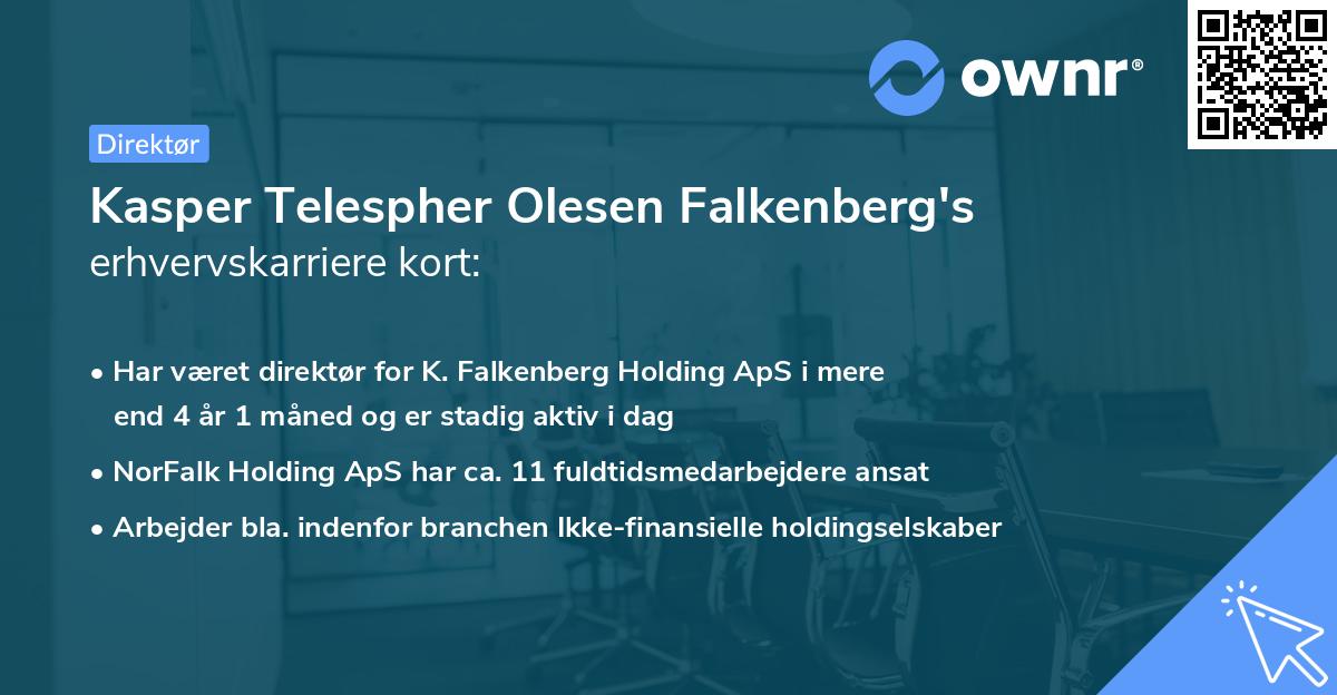 Kasper Telespher Olesen Falkenberg's erhvervskarriere kort