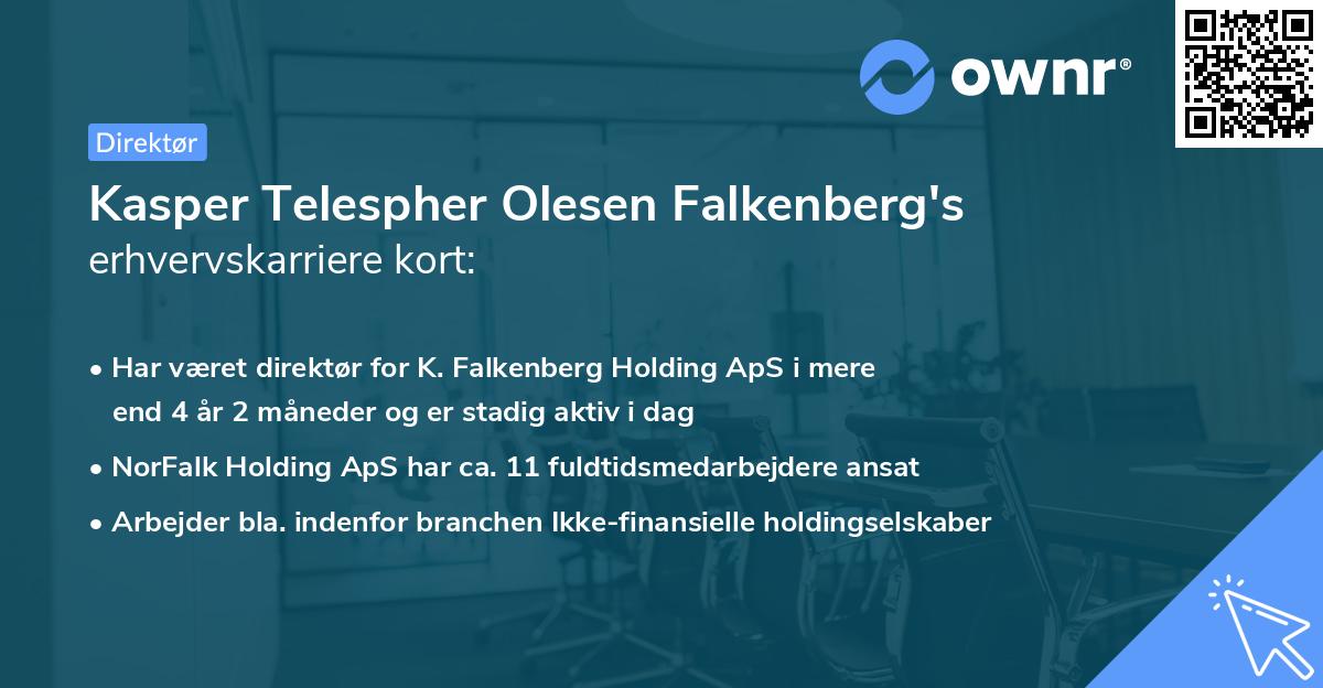 Kasper Telespher Olesen Falkenberg's erhvervskarriere kort