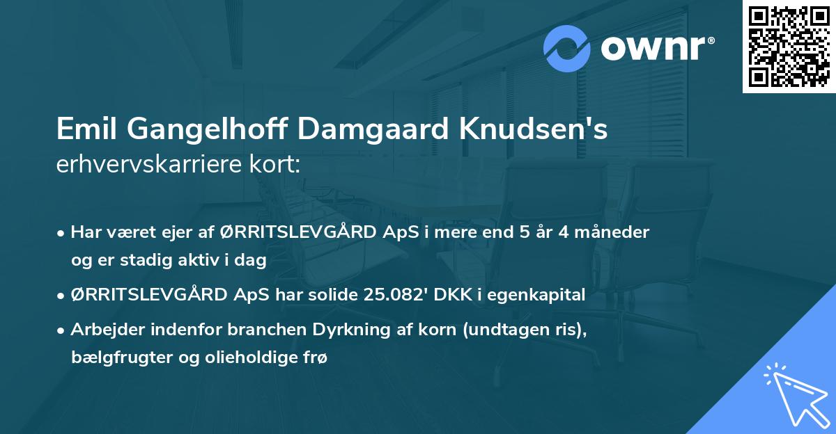 Emil Gangelhoff Damgaard Knudsen's erhvervskarriere kort