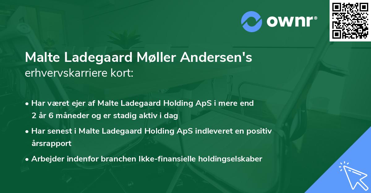 Malte Ladegaard Møller Andersen's erhvervskarriere kort