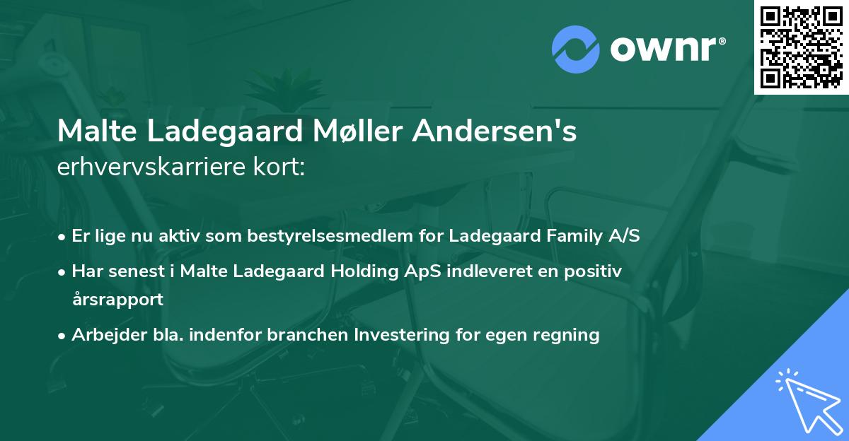 Malte Ladegaard Møller Andersen's erhvervskarriere kort