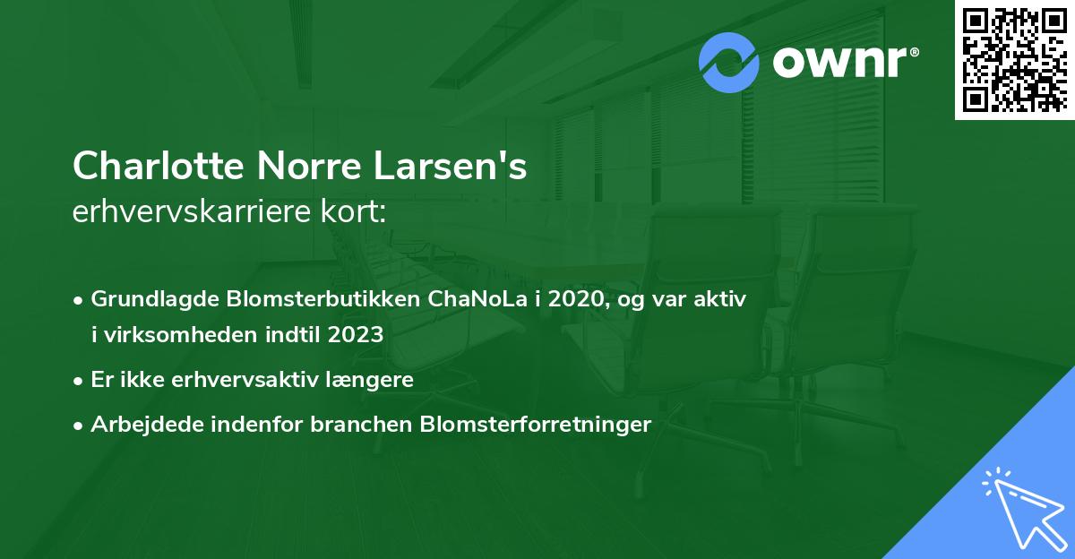 Charlotte Norre Larsen's erhvervskarriere kort
