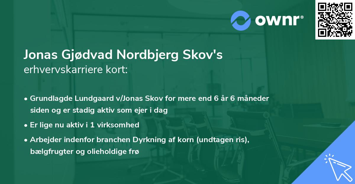 Jonas Gjødvad Nordbjerg Skov's erhvervskarriere kort