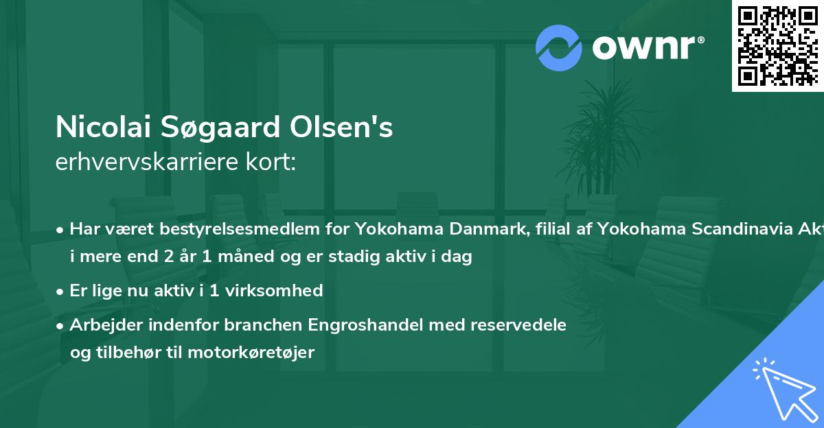 Nicolai Søgaard Olsen's erhvervskarriere kort