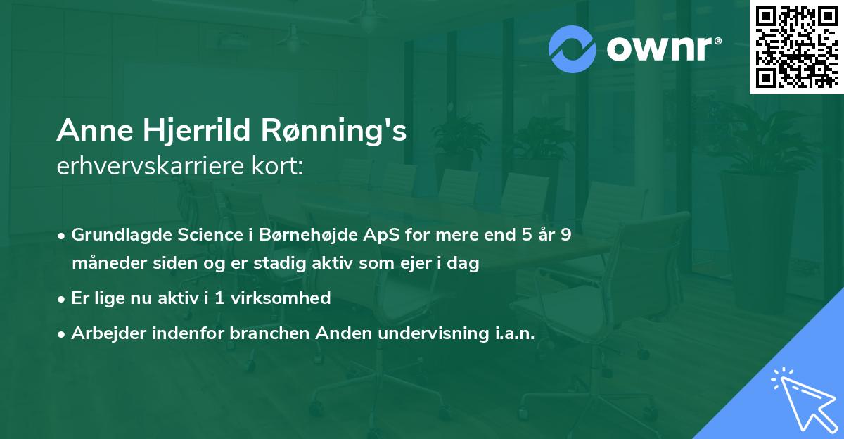 Anne Hjerrild Rønning's erhvervskarriere kort