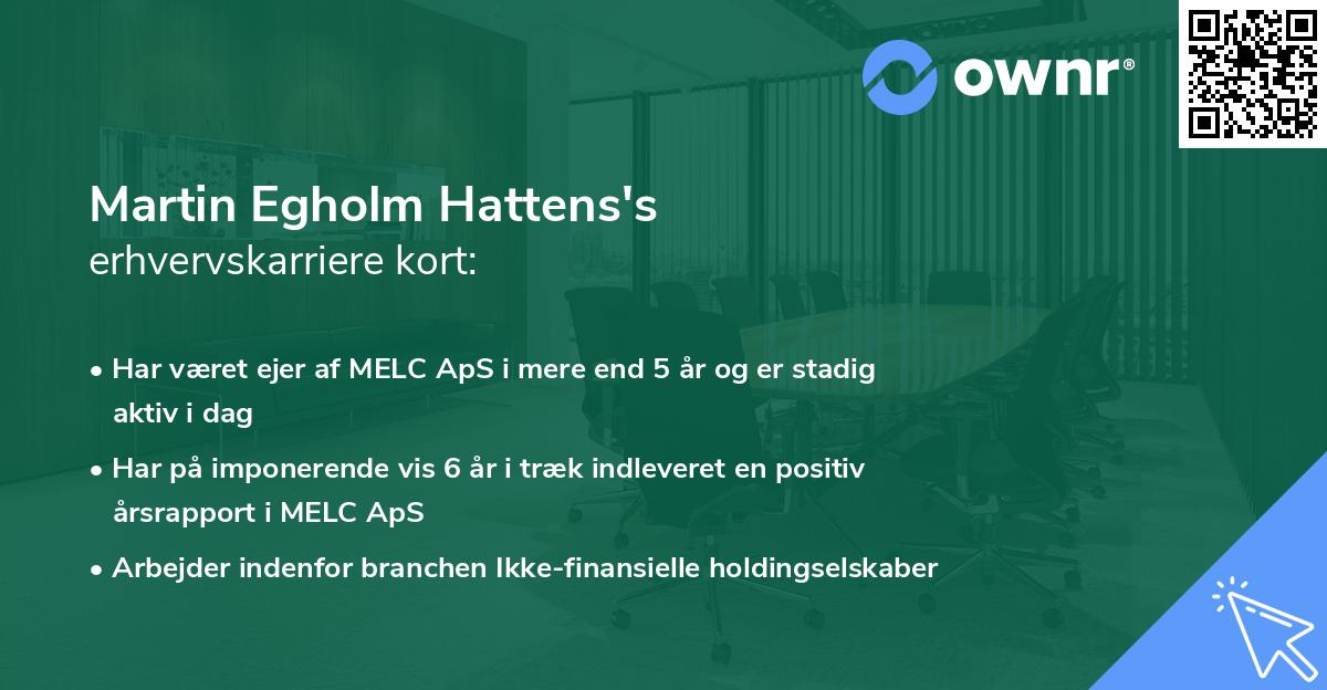 Martin Egholm Hattens's erhvervskarriere kort