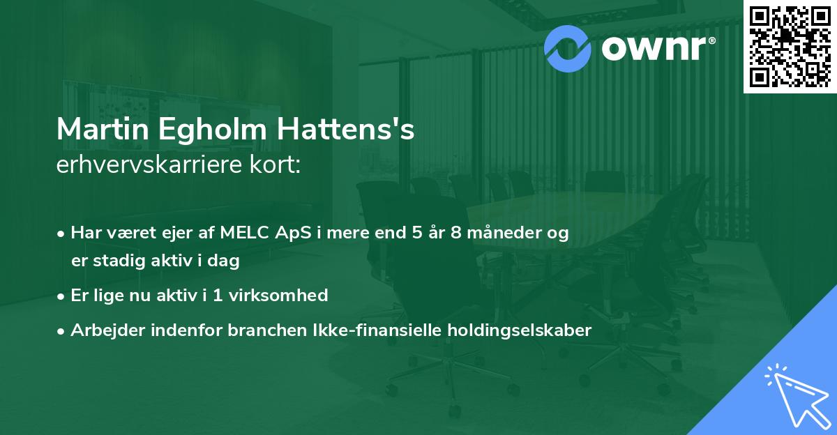 Martin Egholm Hattens's erhvervskarriere kort