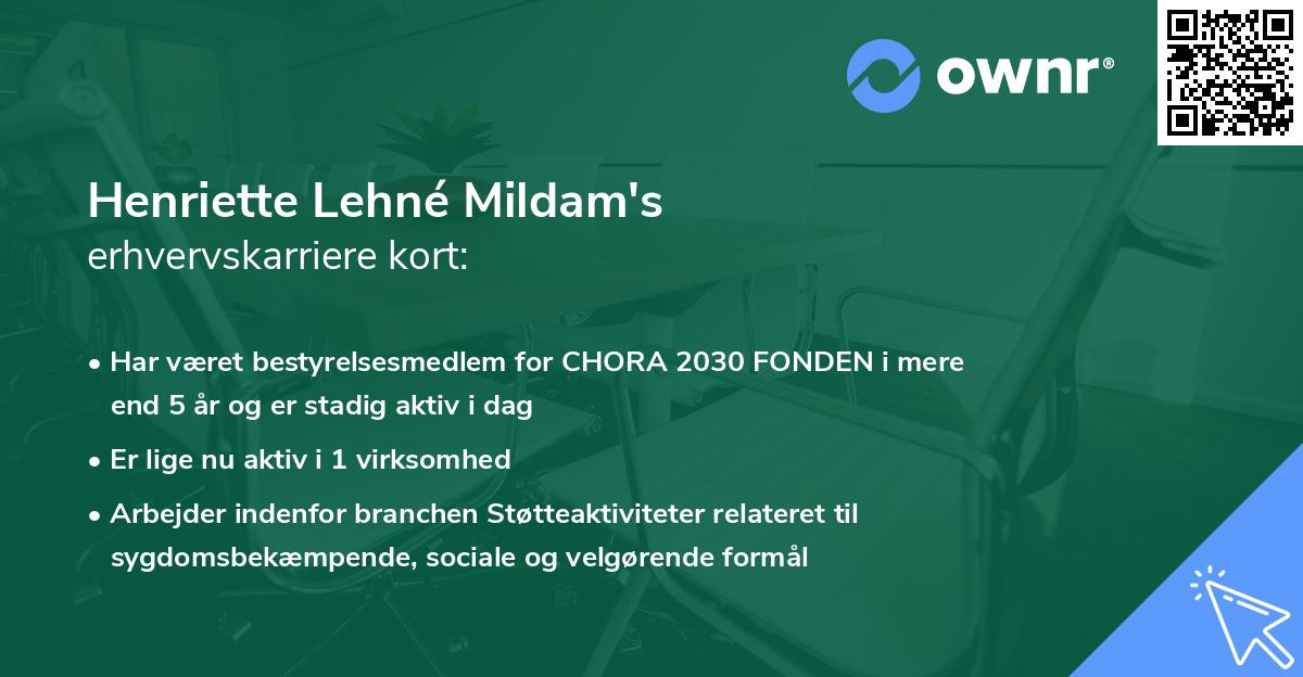 Henriette Lehné Mildam's erhvervskarriere kort