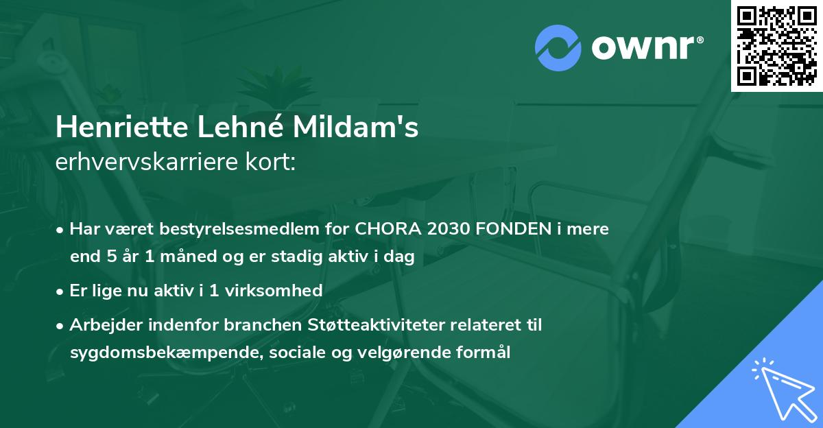 Henriette Lehné Mildam's erhvervskarriere kort